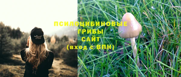 прущий лед Балабаново