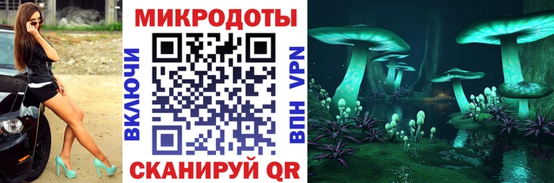 гидра как зайти  Ессентуки  Псилоцибиновые грибы мицелий  хочу наркоту 