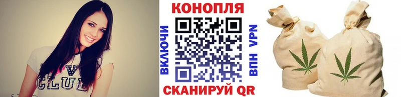 Бошки Шишки семена Ессентуки